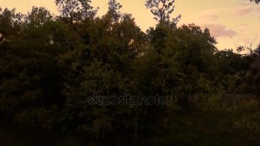 Dağların ve ormanın üzerinden uçarak 