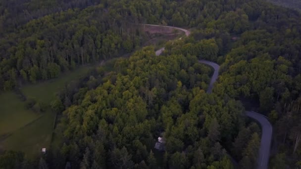 Flug über Berge und Wald — Stockvideo