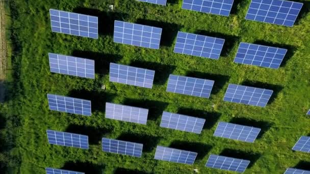 Ηλιακοί συλλέκτες αγρόκτημα πράσινο ανανεώσιμες πηγές ενέργειας — Αρχείο Βίντεο
