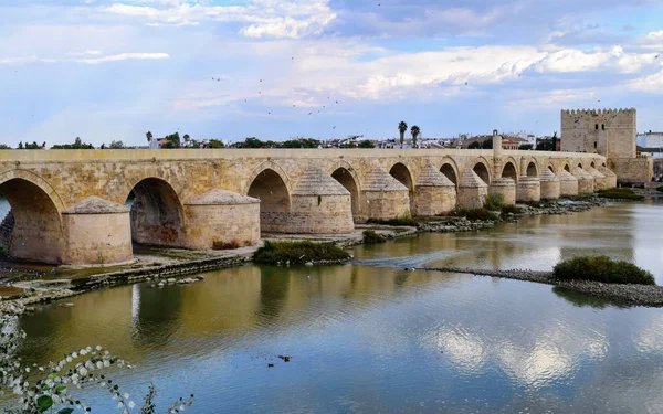 Puente Romano, Córdoba — Foto de Stock