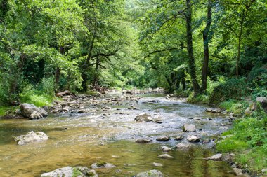 Dryanovksa Nehri, Bulgaristan