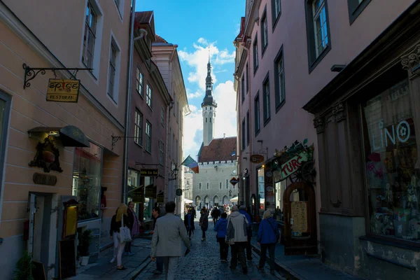 Town Hall Tower Tallinn, Estonya