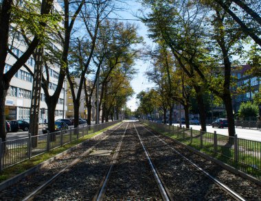 Szczecin, Polonya - Eylül 2016 yaklaşık: ağaçlı tramvay izler Szczecin şehir sokaklarında
