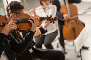 Kendine güvenen kemancı instrumen oynarken