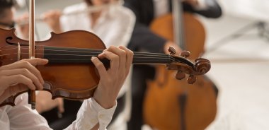 Orkestra dize bölümü gerçekleştirme.