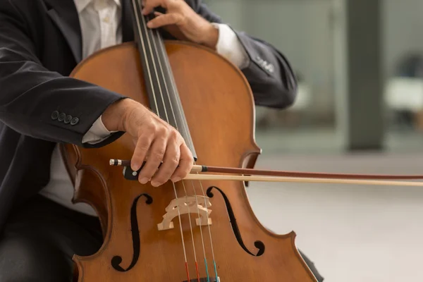 Professioneller Cellist tritt auf — Stockfoto