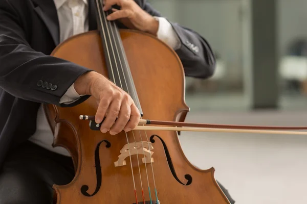 Professional cellist performing — Stock Photo, Image