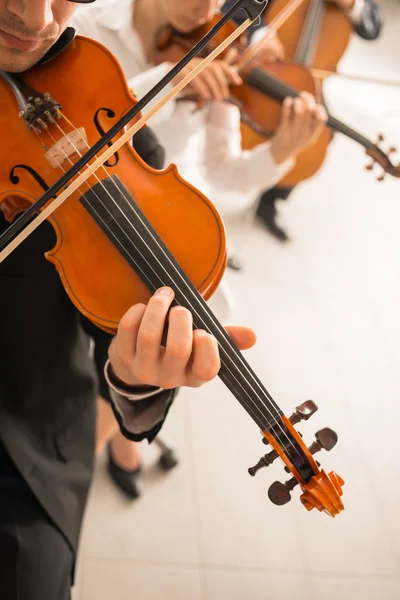 Tocadores de violino — Fotografia de Stock