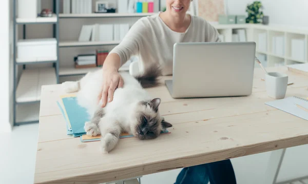Žena s její kočka — Stock fotografie