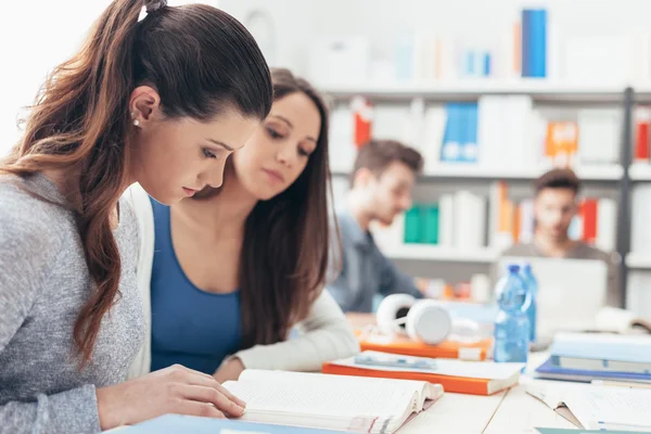 Jenter som studerer sammen i klasserommet – stockfoto