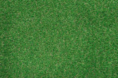 Yeşil yemyeşil çim