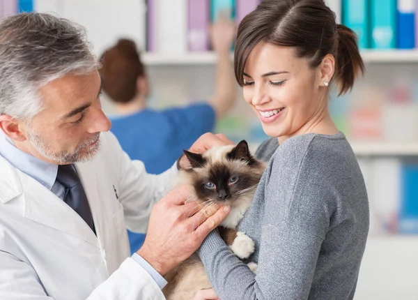 Vétérinaire examinant un chat — Photo