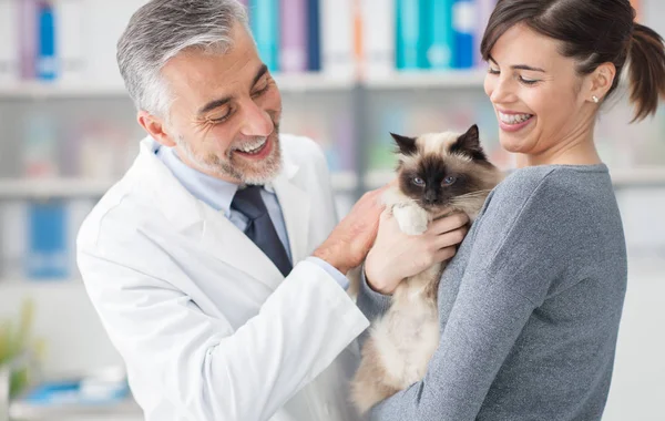 Улыбающаяся женщина и ее кошка в ветеринарной клинике — стоковое фото