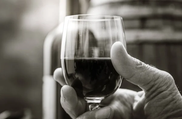 Adam pahalı şarap kırmızı içme — Stok fotoğraf