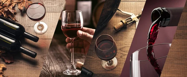 Degustación y elaboración de vinos — Foto de Stock