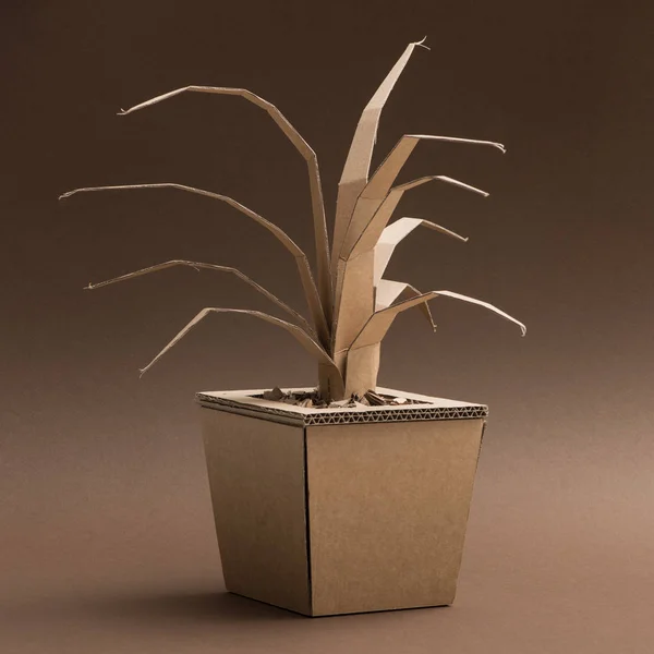 Декоративна рослина ручної роботи — стокове фото