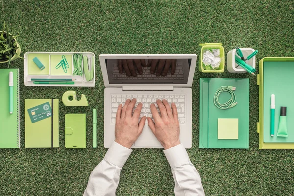 Empresario usando un portátil en la hierba — Foto de Stock