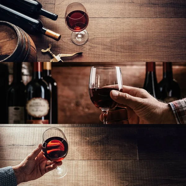 Cata de vinos tintos en la bodega — Foto de Stock