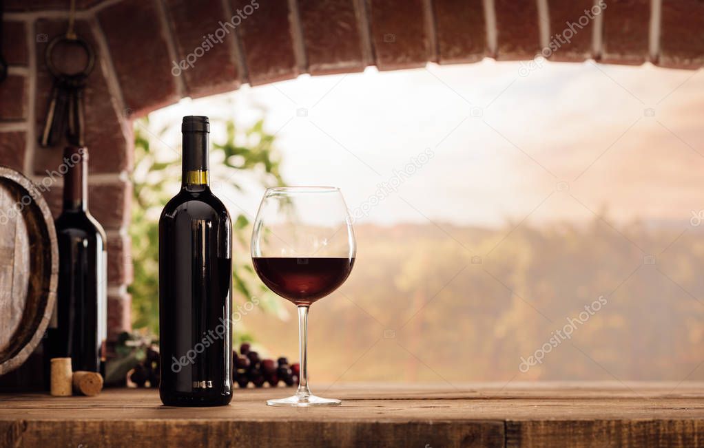 Red wine tasting in cellar