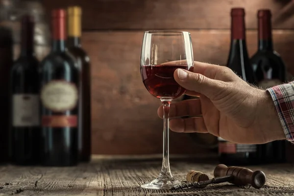 品酒体验在质朴的地窖和酒酒吧 品酒师拿着一杯美味的红酒和优秀的葡萄酒瓶收集背景 — 图库照片