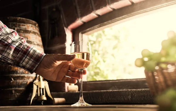 ベテラン農家 試飲ワイン セラーと 背景に緑豊かなブドウ畑でおいしい白ワインのグラス ワイン メーカー — ストック写真