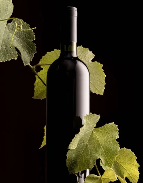 Excelente Botella Vino Sin Etiquetar Con Rama Vid Sobre Fondo — Foto de Stock