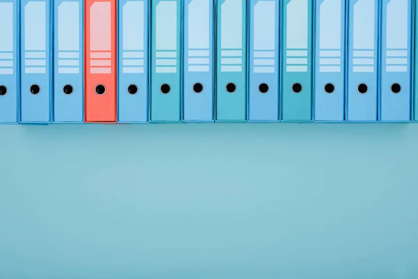 Organized archive with ring binders — Stock Photo, Image