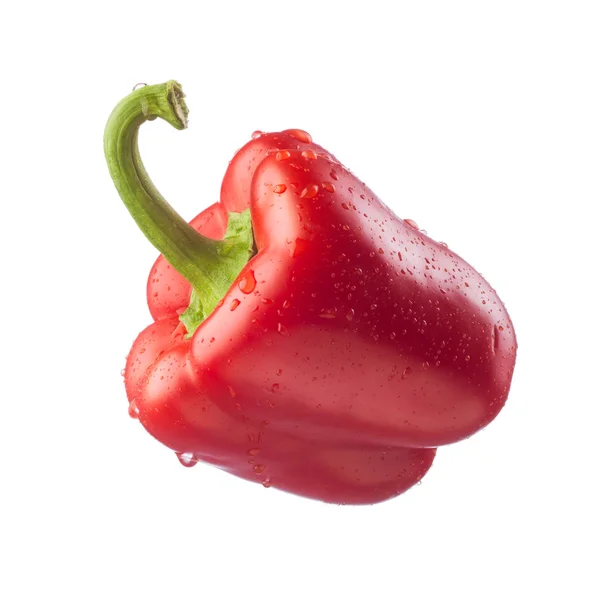 Fresh bell pepper — Stock Photo, Image