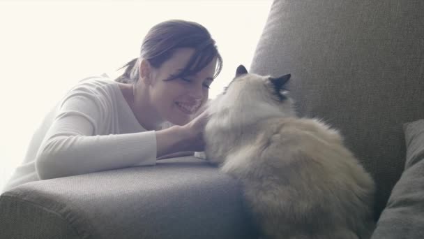 Молодая Улыбающаяся Женщина Расслабляется Дома Обнимает Свою Красивую Длинную Кошку — стоковое видео