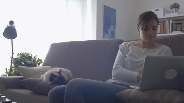 ホーム ソファに座っている若い女性が 彼女はノート パソコンでの作業は 彼女の隣に眠っている彼女の美しいバーマン猫を抱きしめる — ストック動画