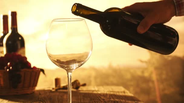 Ochutnávka vín ve vinici