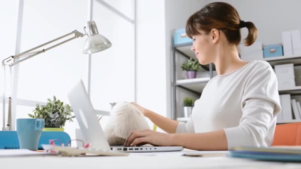 Mujer acariciando su hermoso gato — Vídeos de Stock