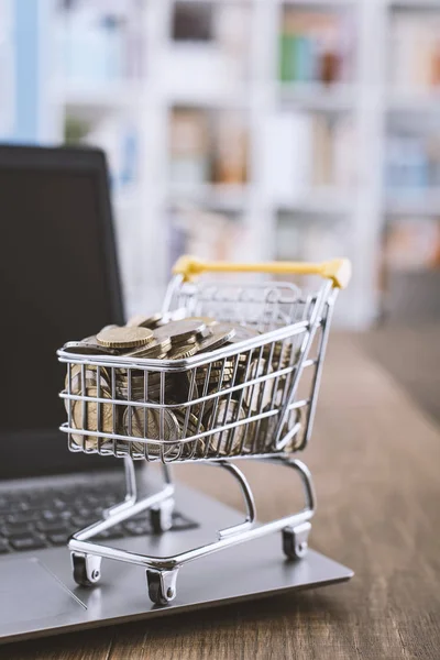 Winkelmandje vol met geld en laptop — Stockfoto