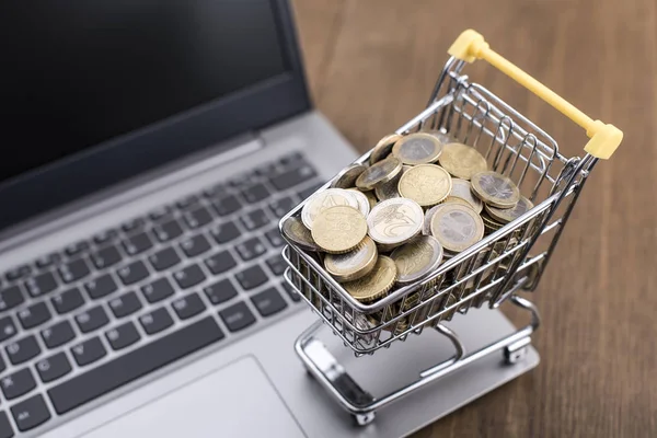 Einkaufswagen voller Geld und Laptop — Stockfoto