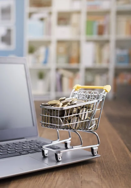 Winkelmandje vol met geld en laptop — Stockfoto