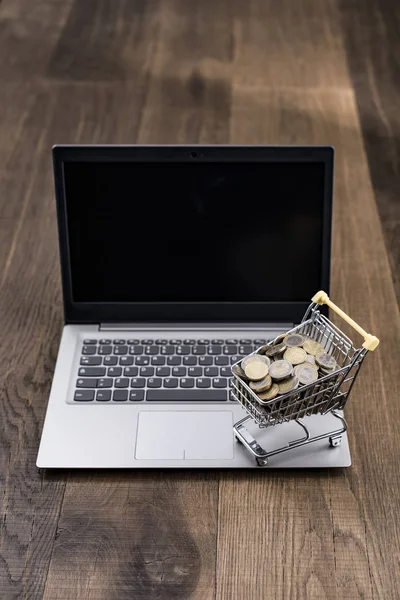 Winkelmandje vol met geld en laptop — Stockfoto