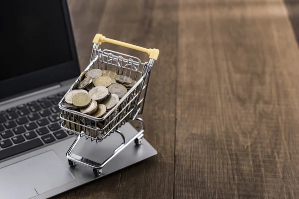 Shopping cart full of money and laptop — Stock Photo, Image