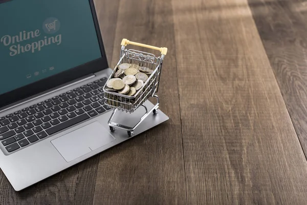 Winkelmandje vol met geld en laptop — Stockfoto