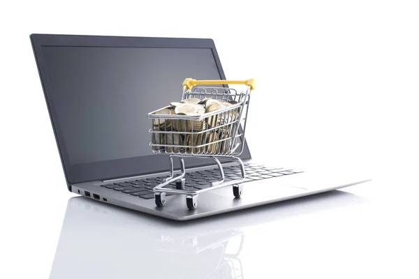 Shopping cart full of money and laptop — Stock Photo, Image