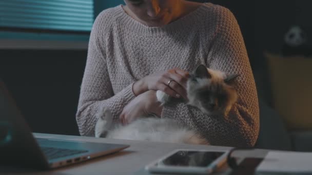 Женщина держит своего кота и использует свой ноутбук — стоковое видео