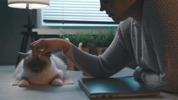 Vrouw knuffelen haar mooie kat op het bureau — Stockvideo