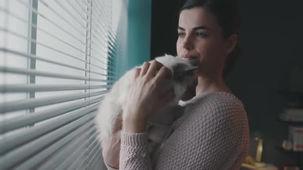 Mujer abrazando a su gato al lado de una ventana — Vídeo de stock