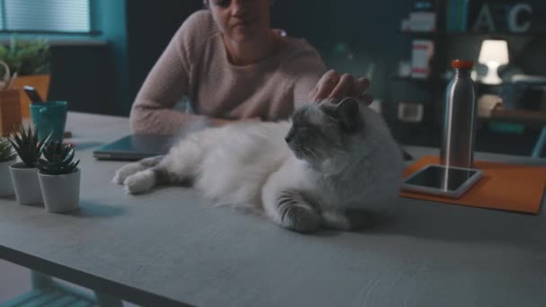 Женщина обнимает свою прекрасную кошку на столе — стоковое видео