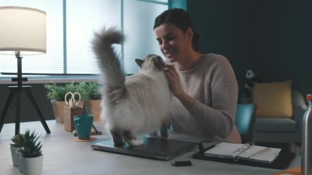 Egy nő ölelgeti a gyönyörű macskáját az asztalon. — Stock videók