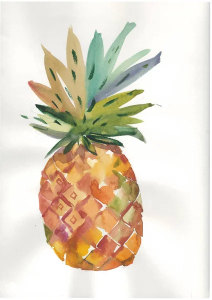 Aquarelle Dessinée Main Sur Fond Blanc Illustration Ananas Aux Fruits — Photo