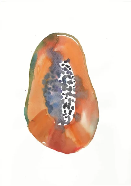 Papaya Hand Draw Watercolor Illustration Isolated White Background — Stock Photo, Image