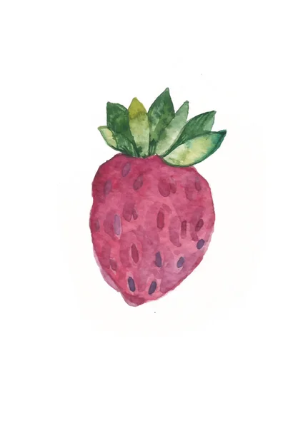Handgezeichnetes Aquarell Erdbeere Auf Weißem Hintergrund Abbildung Von Beeren — Stockfoto
