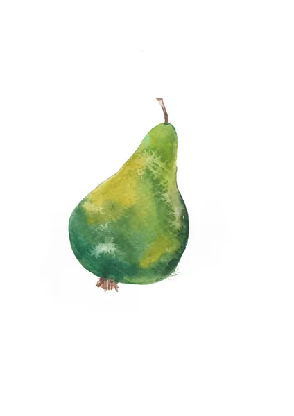 Pittura Acquerello Disegnata Mano Sfondo Bianco Illustrazione Frutta Pera Verde — Foto Stock