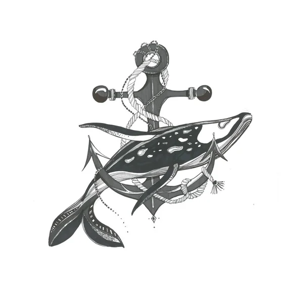 Baleine Avec Une Ancre Dessinee Dans Un Style De Tatouage Isole Sur Blanc Beluga Traditionnel Stock Photo Baleine Avec Une Ancre Dessinee Dans Un Style De Tatouage Isole Sur Blanc Beluga Traditionnel Stock Photo