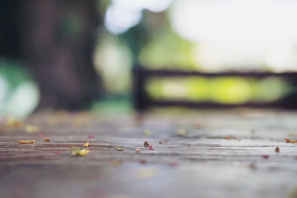 Kleine Blätter und Blüten auf Holztisch — Stockfoto